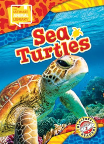 Sea Turtles by Chris Bowman, 9798893047974
