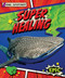 Super Healing by Monika Davies, 9798893048278