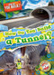 How Do You Build a Tunnel? by Joanne Mattern, 9798898805388