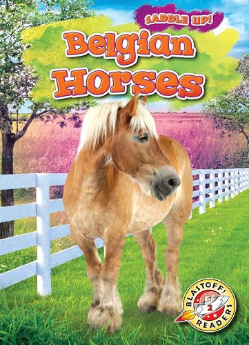 Belgian Horses by Rachel Grack, 9781644874295