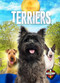 Terriers by Sara Green, 9781644874455