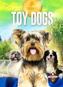 Toy Dogs by Elizabeth Noll, 9781644874462