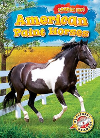 American Paint Horses by Rachel Grack, 9781644872314