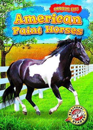 American Paint Horses by Rachel Grack, 9781644872314