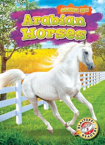Arabian Horses by Rachel Grack, 9781644872345