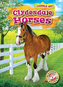 Clydesdale Horses by Rachel Grack, 9781644872352