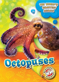 Octopuses by Joanne Mattern, 9781644872413