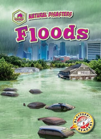 Floods by Rebecca Pettiford, 9781644871515