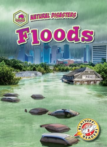 Floods by Rebecca Pettiford, 9781644871515