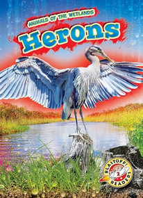 Herons by Rachel Grack, 9781626179882