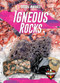 Igneous Rocks by Jenny Fretland VanVoorst, 9781644870754