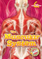 The Muscular System by Rebecca Pettiford, 9781618917539