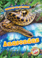 Anacondas by Rachel Grack, Dana Fleming, 9781626179479