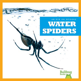 Water Spiders by Jenna Lee Gleisner, 9781624967986