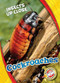 Cockroaches by Patrick Perish, 9781626178021