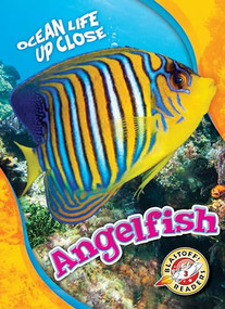 Angelfish by Nathan Sommer, 9781626177642