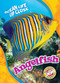 Angelfish by Nathan Sommer, 9781626177642