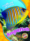 Angelfish by Nathan Sommer, 9781626177642