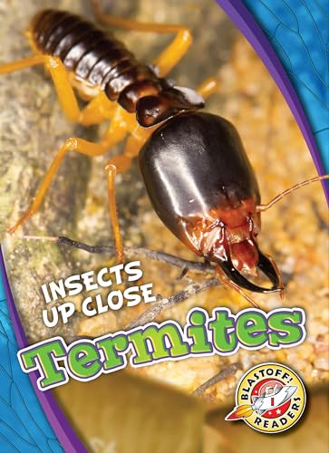 Termites by Patrick Perish, 9781626177192