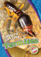 Termites by Patrick Perish, 9781626177192