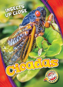 Cicadas by Christina Leaf, 9781626176607