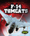 F-14 Tomcats by Denny Von Finn, 9781600149412