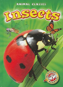 Insects by Kari Schuetz, Mandy Kaplan, 9781600147746