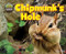 Chipmunk's Hole by Dee Phillips, 9781642800876