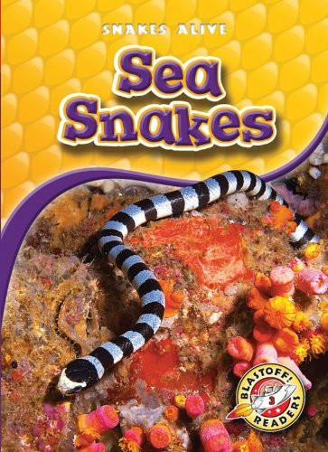 Sea Snakes by Colleen Sexton, David Christian, 9781600145445