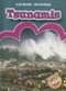 Tsunamis by Anne Wendorff, Keith McCarthy, 9781600141881