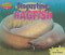 Disgusting Hagfish by Meish Goldish, 9781597167192