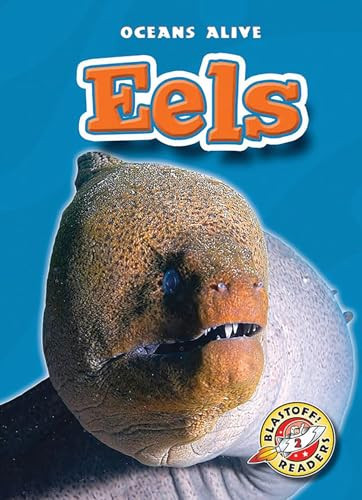 Eels by Derek Zobel, Mandy Kaplan, 9781600141720