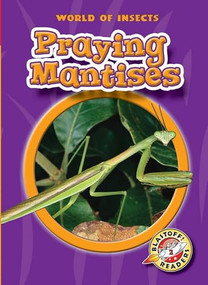 Praying Mantises by Colleen Sexton, Dana Fleming, 9781618914897