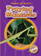 Praying Mantises by Colleen Sexton, Dana Fleming, 9781618914897