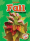 Fall by Ann Herriges, Dana Fleming, 9781600143779