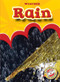 Rain by Ann Herriges, Dana Fleming, 9781600143960