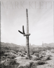 Saguaros by Mark Klett, Gregory McNamee, 9798890181619
