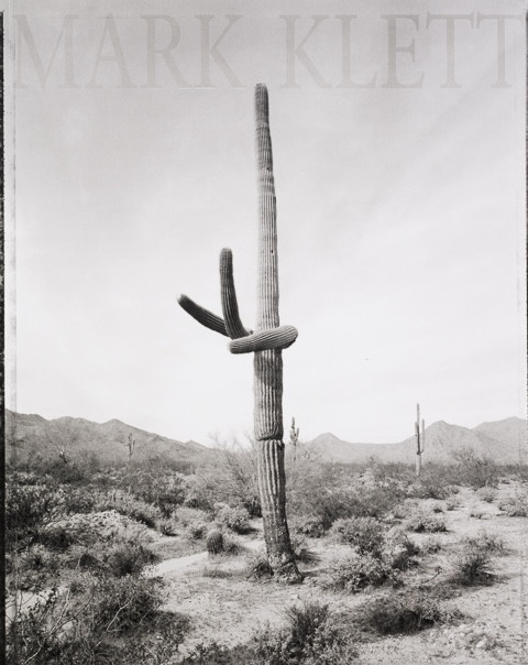 Saguaros by Mark Klett, Gregory McNamee, 9798890181619