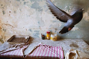 Glimmerings (Selected Photographs: 1998-2027) by Rebecca Norris Webb, 9798890181664