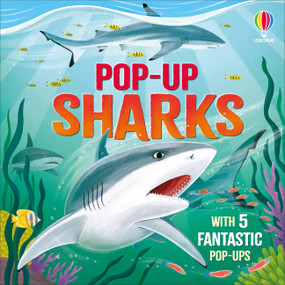 Pop-up Sharks by Micaela Tapsell, Kaley McKean, 9781806463510
