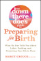 The Down There Doc's Guide to Preparing for Birth (What No One Tells You About Labor, Pushing, and Protecting Your Pelvic Floor) by Marcy Crouch, 9781394418206