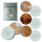 The Coffee Oracle Cards (50 Caffeinated Reflections to Activate Your Morning Ritual) by Tracee Dunblazier, 9780764373855