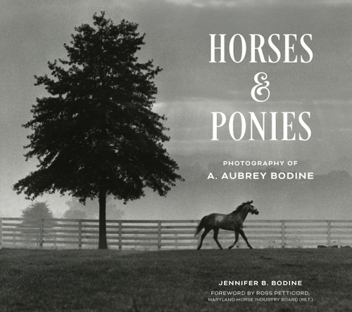 Horses and Ponies (Photography of A. Aubrey Bodine) by Jennifer Bodine, 9780764373299