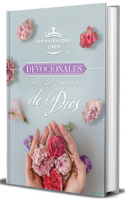 RVR 1960 Devocionales sobre las promesas de Dios / RVR 1960 Devotionals on Gods Promises (Spanish Edition) by Origen, 9798890986047