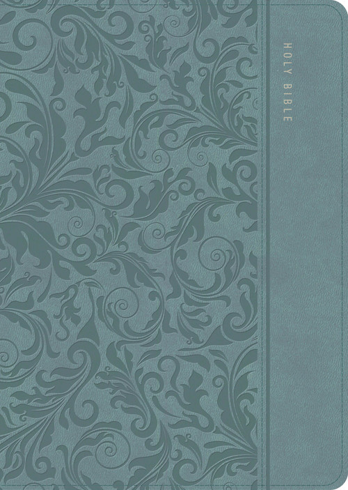 CSB Study Bible, Personal Size, Digital Study Edition, Earthen Teal LeatherTouch by CSB Bibles by Holman, 9798384561873