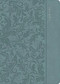 CSB Study Bible, Personal Size, Digital Study Edition, Earthen Teal LeatherTouch by CSB Bibles by Holman, 9798384561873