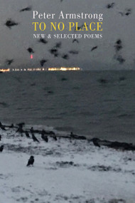 To No Place (New & Selected Poems) by Peter Armstrong, 9781780378084