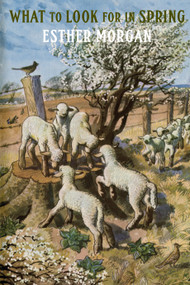 What to Look for in Spring by Esther Morgan, 9781780377667