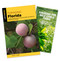 Foraging Florida Guidebook and Folding Pocket Guide Bundle (Finding, Identifying, and Preparing Edible and Medicinal Wild Foods in Florida) by Roger L. Hammer, James Kavanagh, 9781493098224