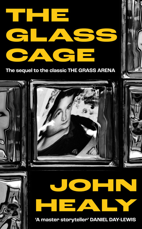 The Glass Cage by John Healy, 9781806771240